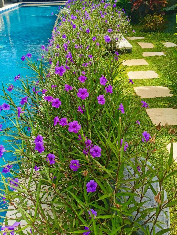 נוסא דואה Artoria Dream Villas Bali מראה חיצוני תמונה